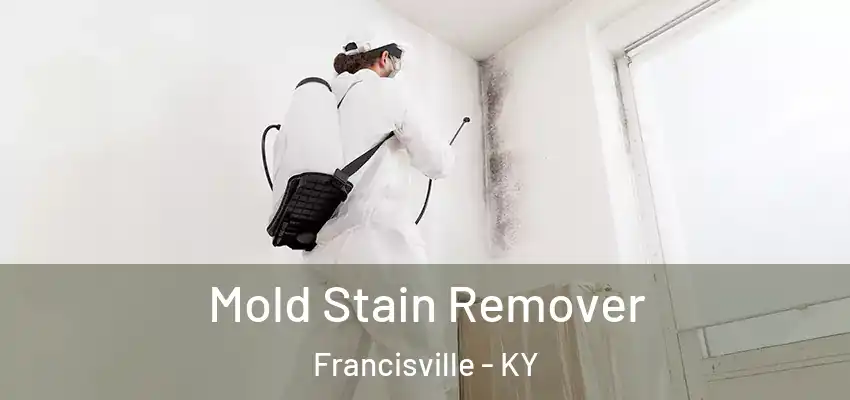  Mold Stain Remover Francisville - KY