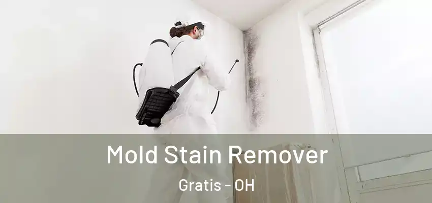  Mold Stain Remover Gratis - OH