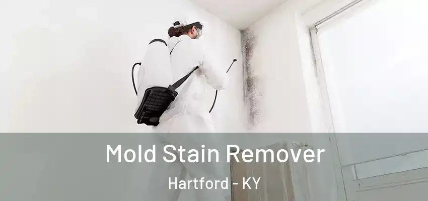  Mold Stain Remover Hartford - KY