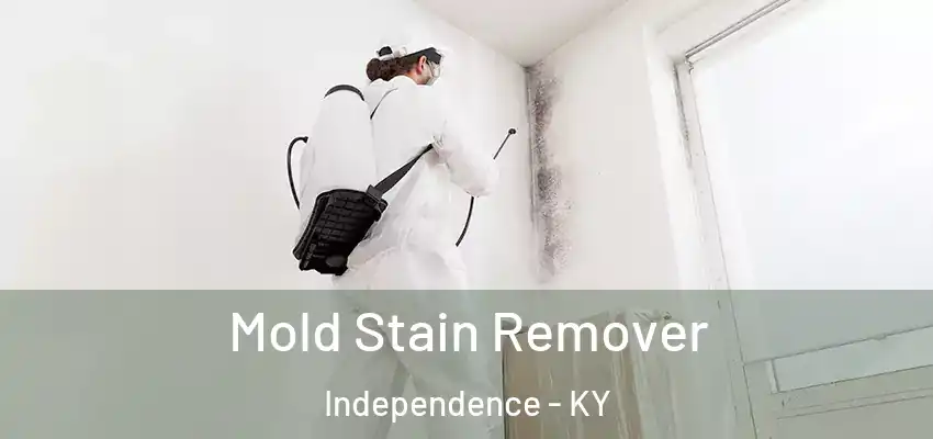  Mold Stain Remover Independence - KY