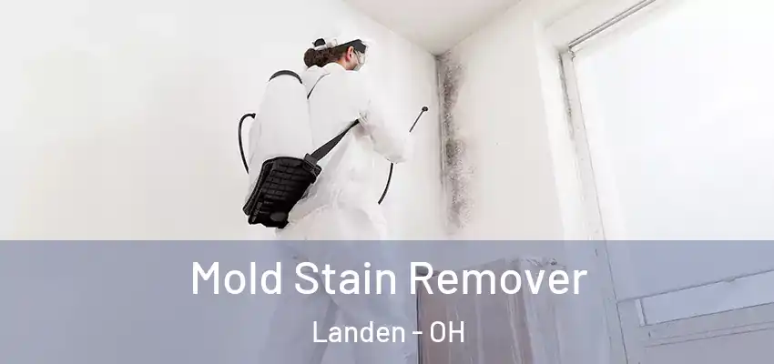 Mold Stain Remover Landen - OH