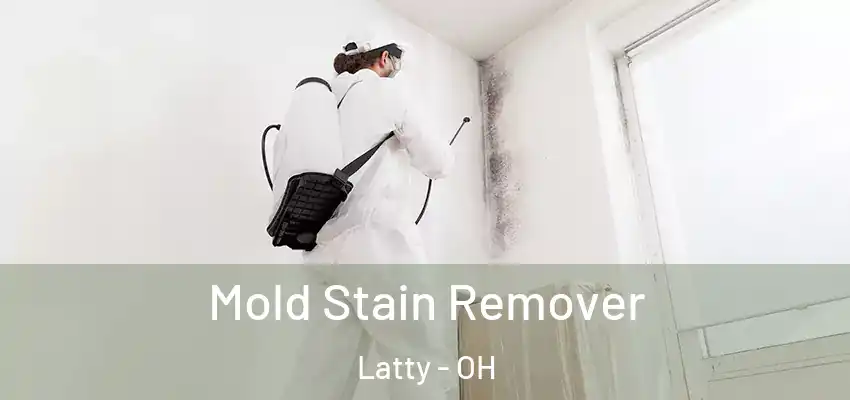  Mold Stain Remover Latty - OH