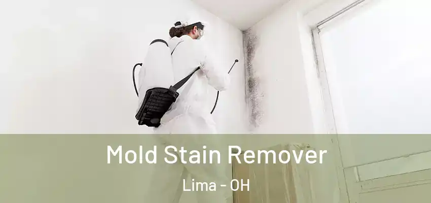  Mold Stain Remover Lima - OH