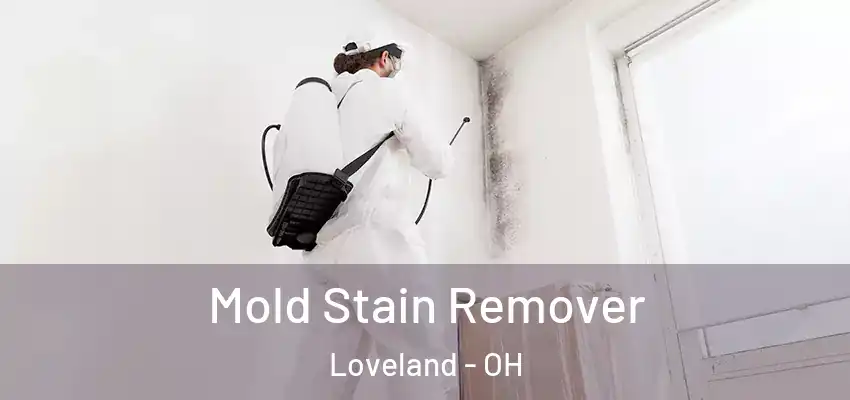  Mold Stain Remover Loveland - OH