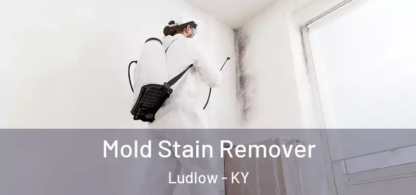 Mold Stain Remover Ludlow - KY