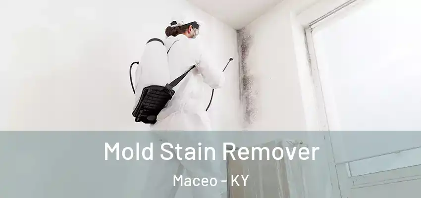  Mold Stain Remover Maceo - KY