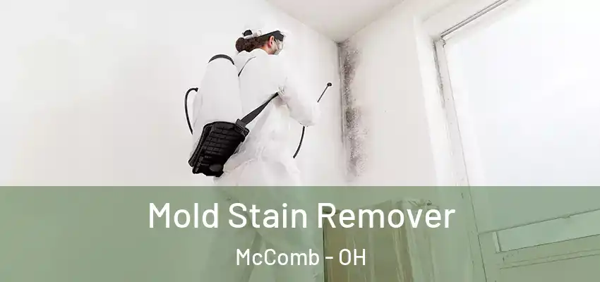  Mold Stain Remover McComb - OH