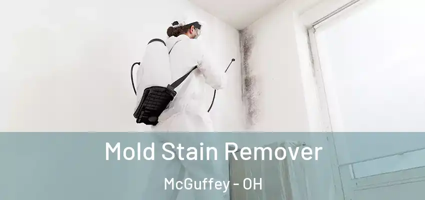  Mold Stain Remover McGuffey - OH