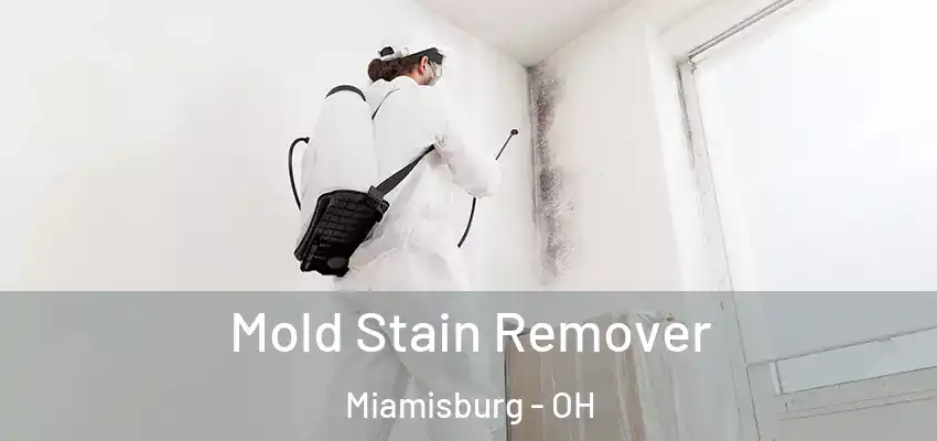 Mold Stain Remover Miamisburg - OH