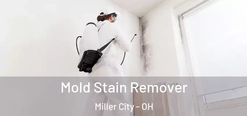  Mold Stain Remover Miller City - OH