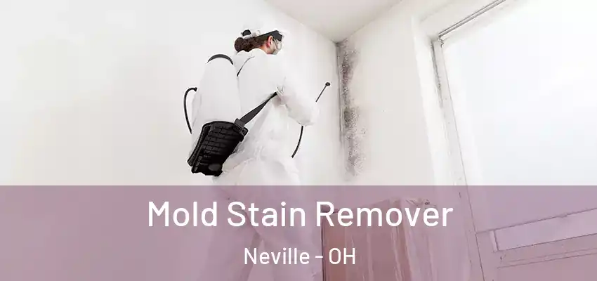  Mold Stain Remover Neville - OH
