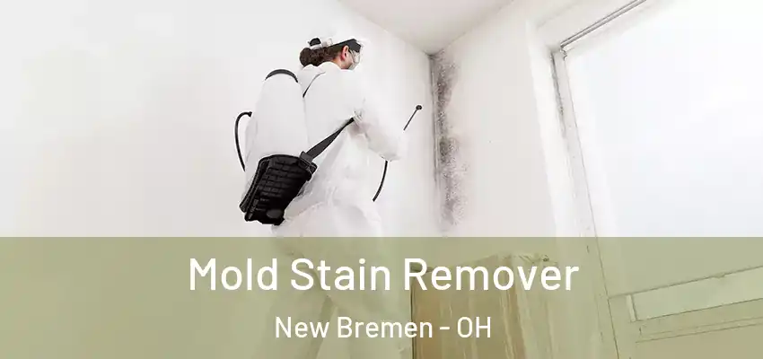  Mold Stain Remover New Bremen - OH