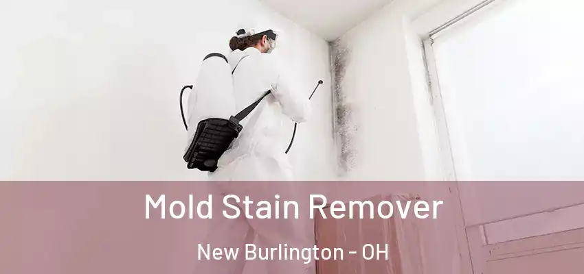  Mold Stain Remover New Burlington - OH