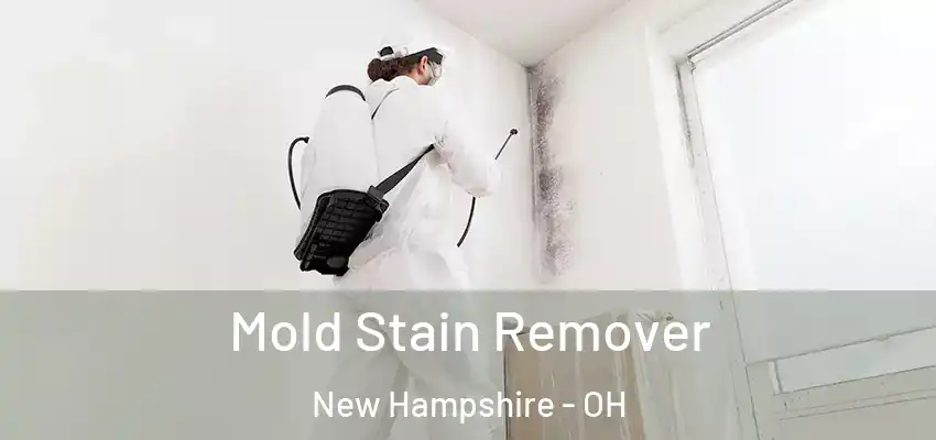  Mold Stain Remover New Hampshire - OH