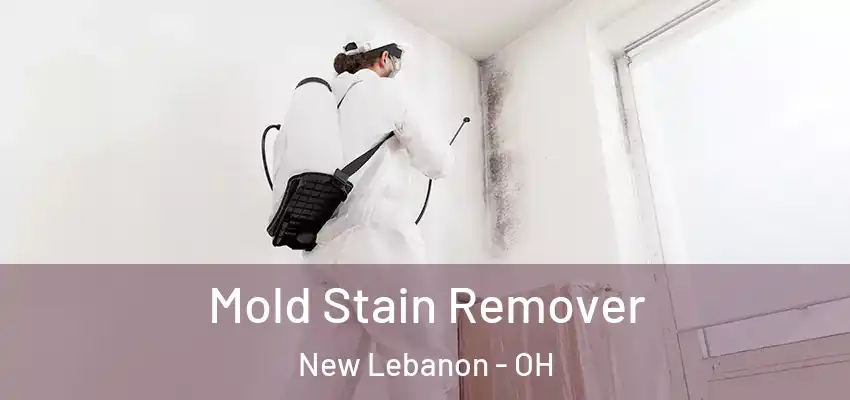 Mold Stain Remover New Lebanon - OH