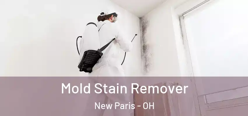  Mold Stain Remover New Paris - OH