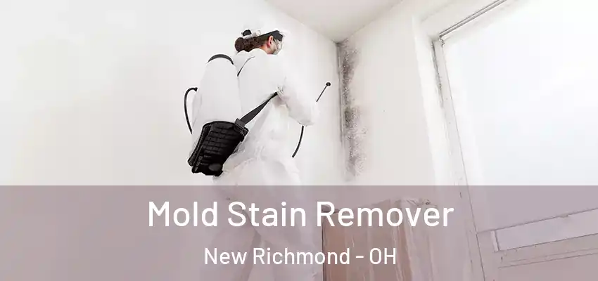  Mold Stain Remover New Richmond - OH