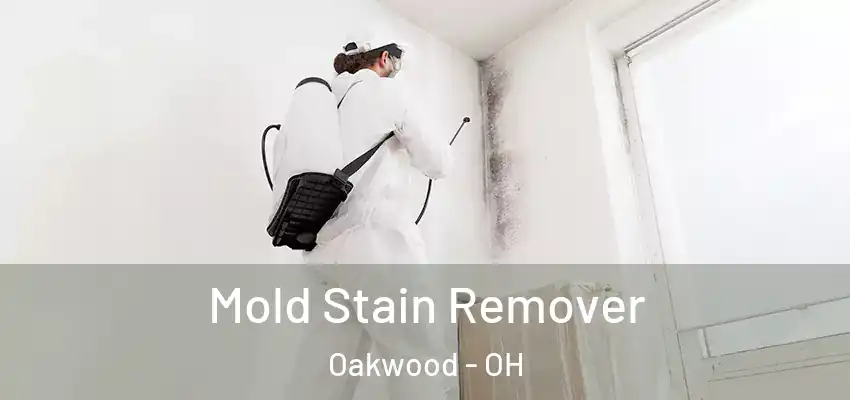  Mold Stain Remover Oakwood - OH