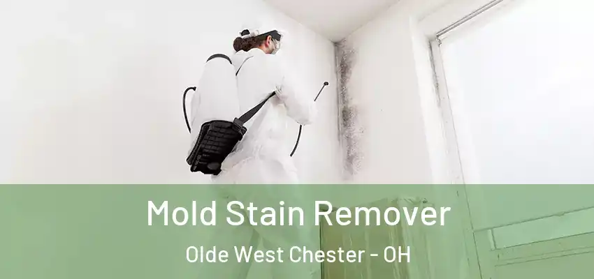 Mold Stain Remover Olde West Chester - OH