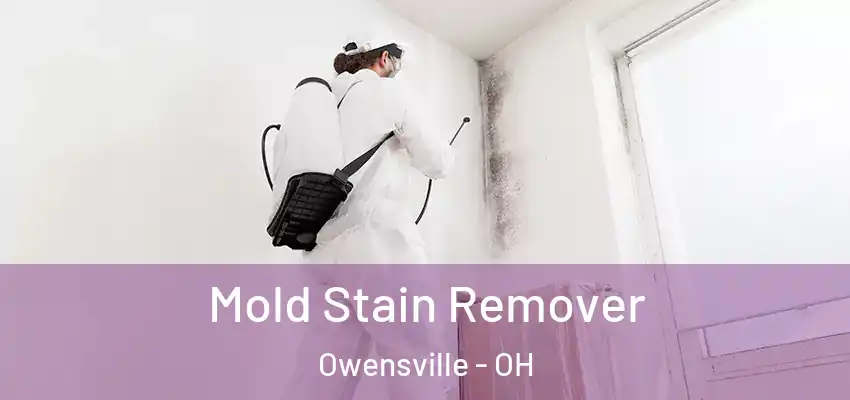  Mold Stain Remover Owensville - OH