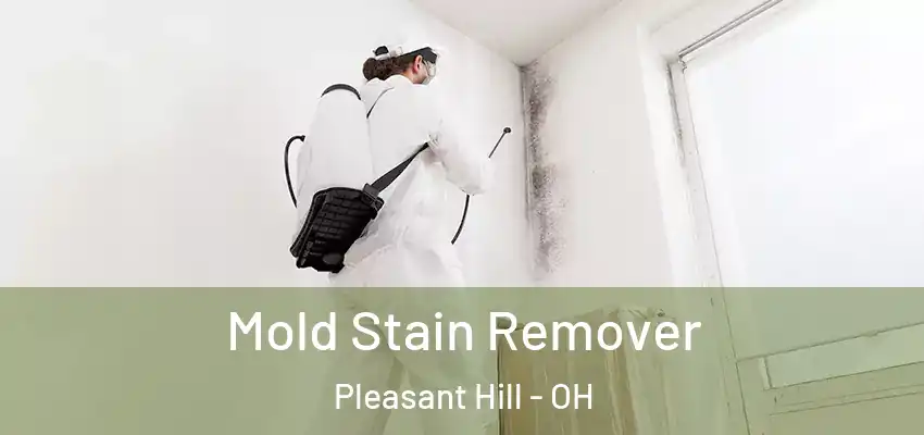  Mold Stain Remover Pleasant Hill - OH