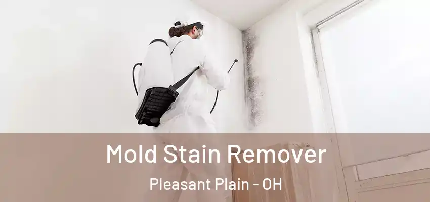 Mold Stain Remover Pleasant Plain - OH