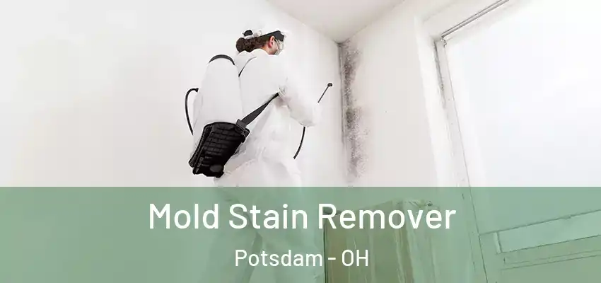  Mold Stain Remover Potsdam - OH