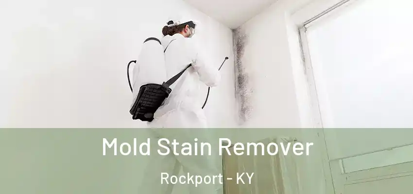  Mold Stain Remover Rockport - KY