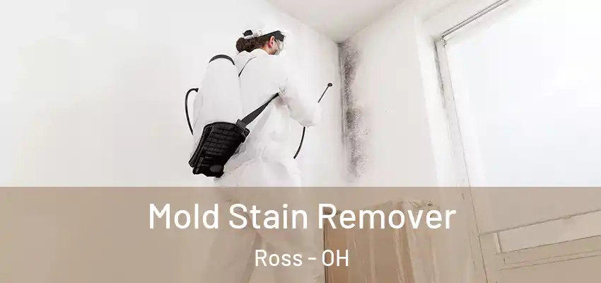  Mold Stain Remover Ross - OH