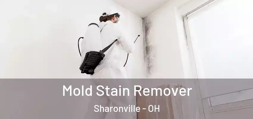  Mold Stain Remover Sharonville - OH