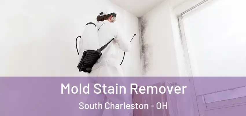  Mold Stain Remover South Charleston - OH