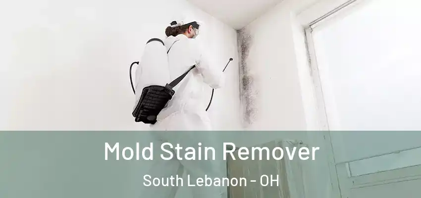  Mold Stain Remover South Lebanon - OH