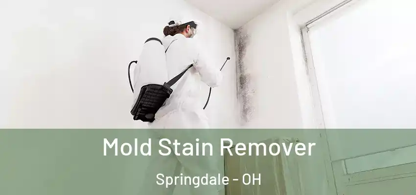 Mold Stain Remover Springdale - OH