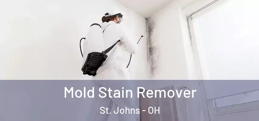  Mold Stain Remover St. Johns - OH