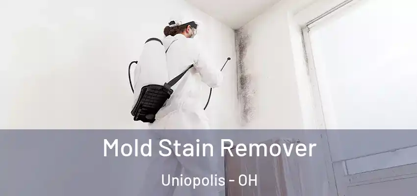  Mold Stain Remover Uniopolis - OH
