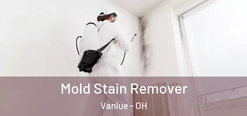  Mold Stain Remover Vanlue - OH
