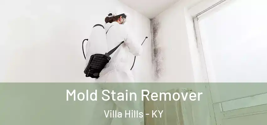  Mold Stain Remover Villa Hills - KY