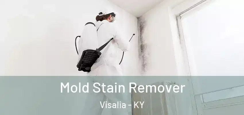  Mold Stain Remover Visalia - KY