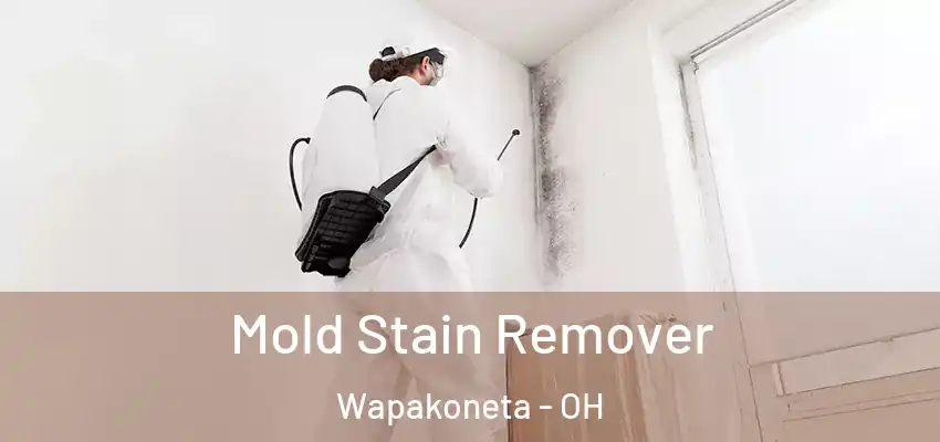  Mold Stain Remover Wapakoneta - OH
