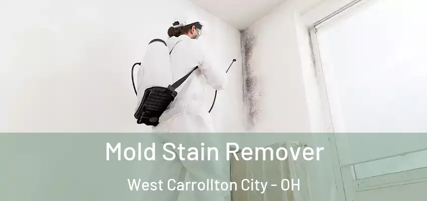  Mold Stain Remover West Carrollton City - OH