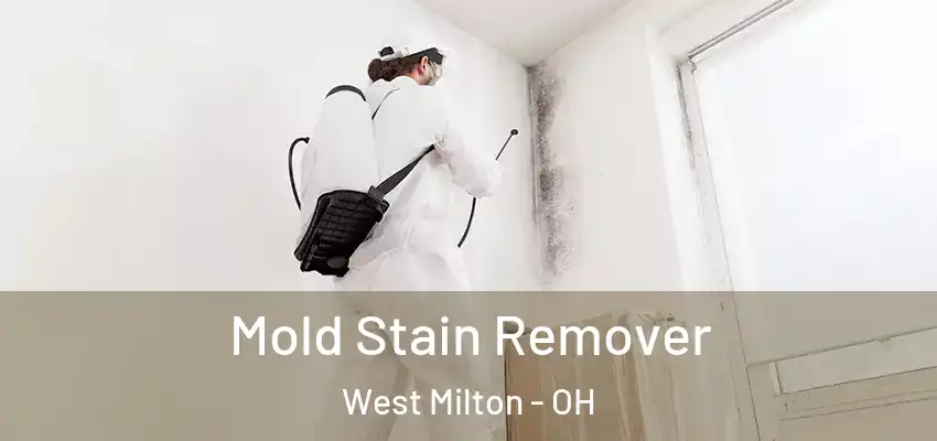 Mold Stain Remover West Milton - OH