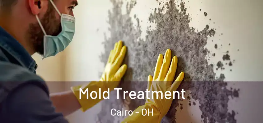  Mold Treatment Cairo - OH
