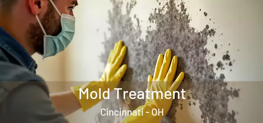  Mold Treatment Cincinnati - OH