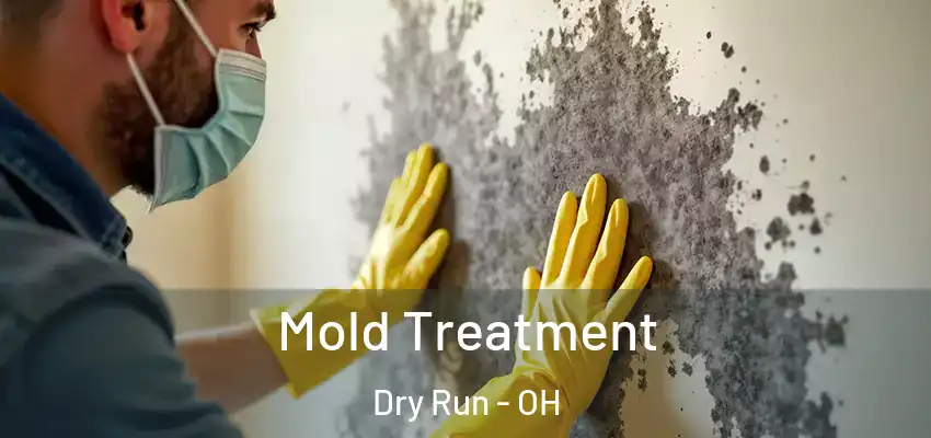  Mold Treatment Dry Run - OH
