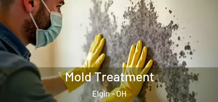  Mold Treatment Elgin - OH