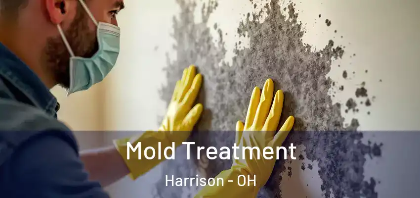  Mold Treatment Harrison - OH