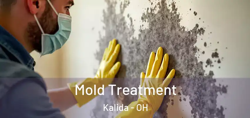  Mold Treatment Kalida - OH