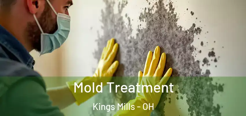  Mold Treatment Kings Mills - OH