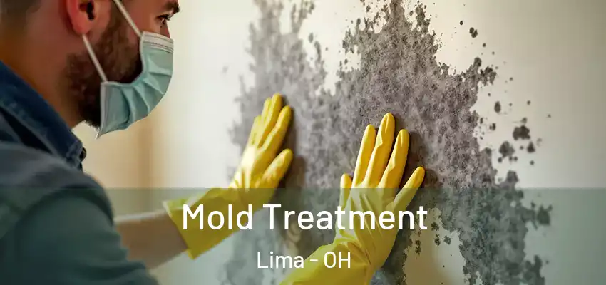  Mold Treatment Lima - OH
