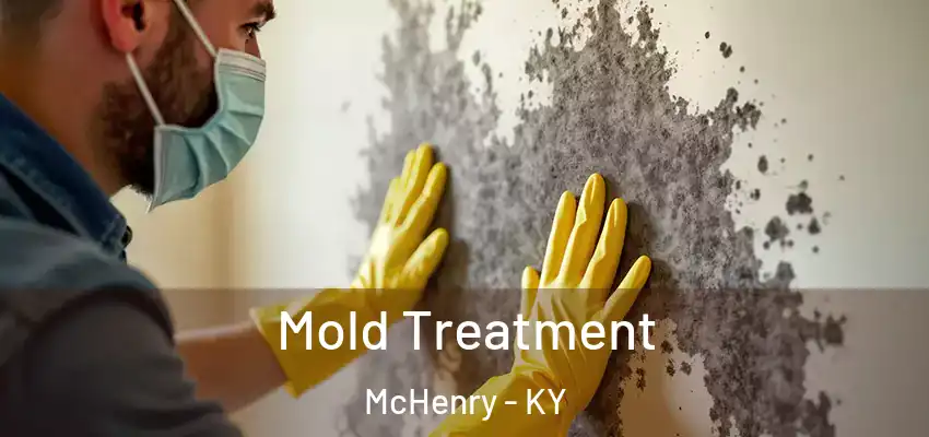  Mold Treatment McHenry - KY
